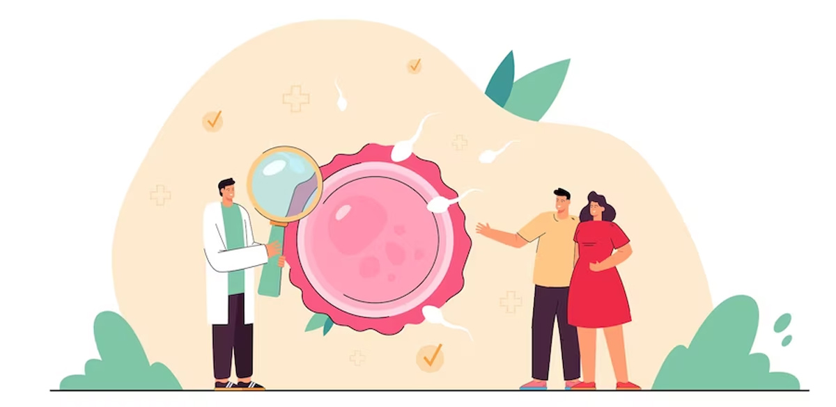 uterine fibroids and fertility