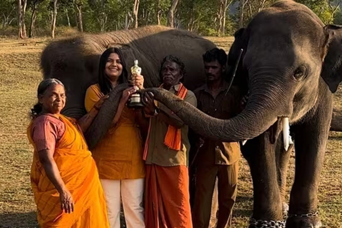 Boman belly alleged film maker kartikya gonsalwis