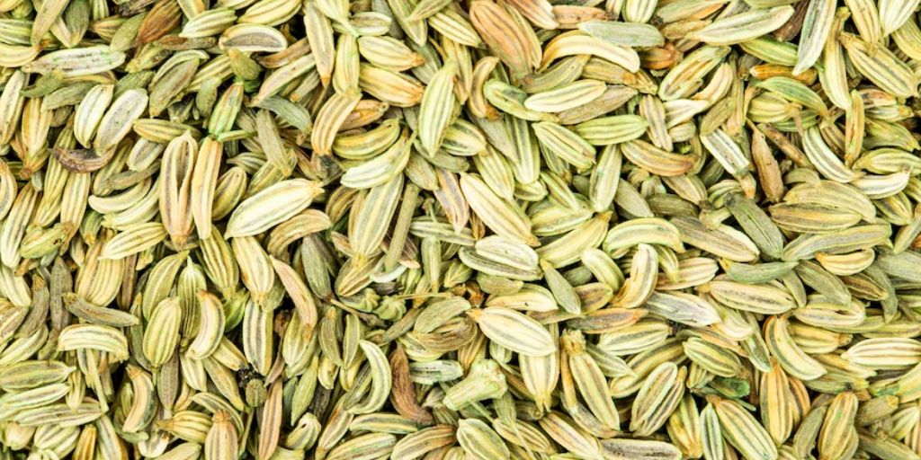 Fennel seed herbal drink