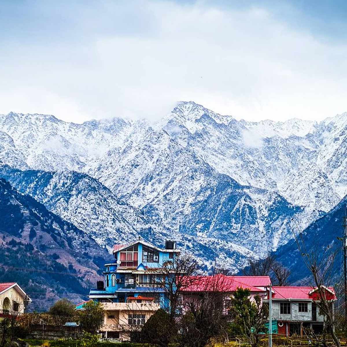Palampur