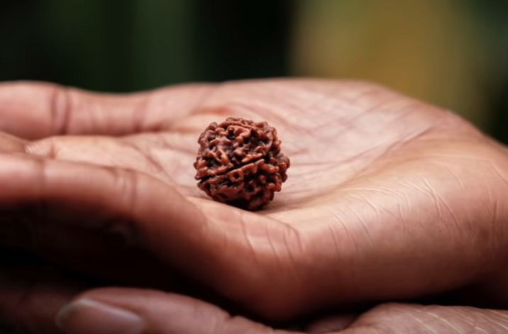 RUDRAKSHA