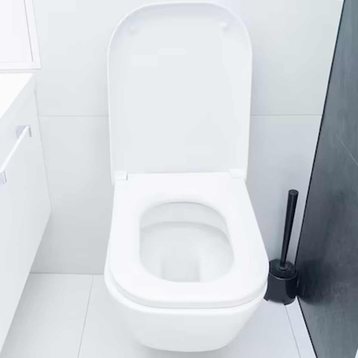 Where does the toilet flush to on a plane