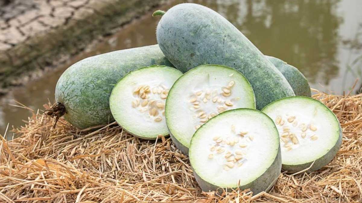 ash gourd for younger looking skin
