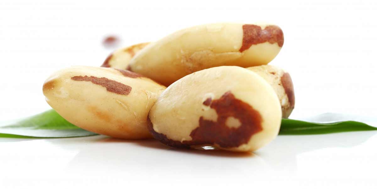 brazil nuts good for high uric acid