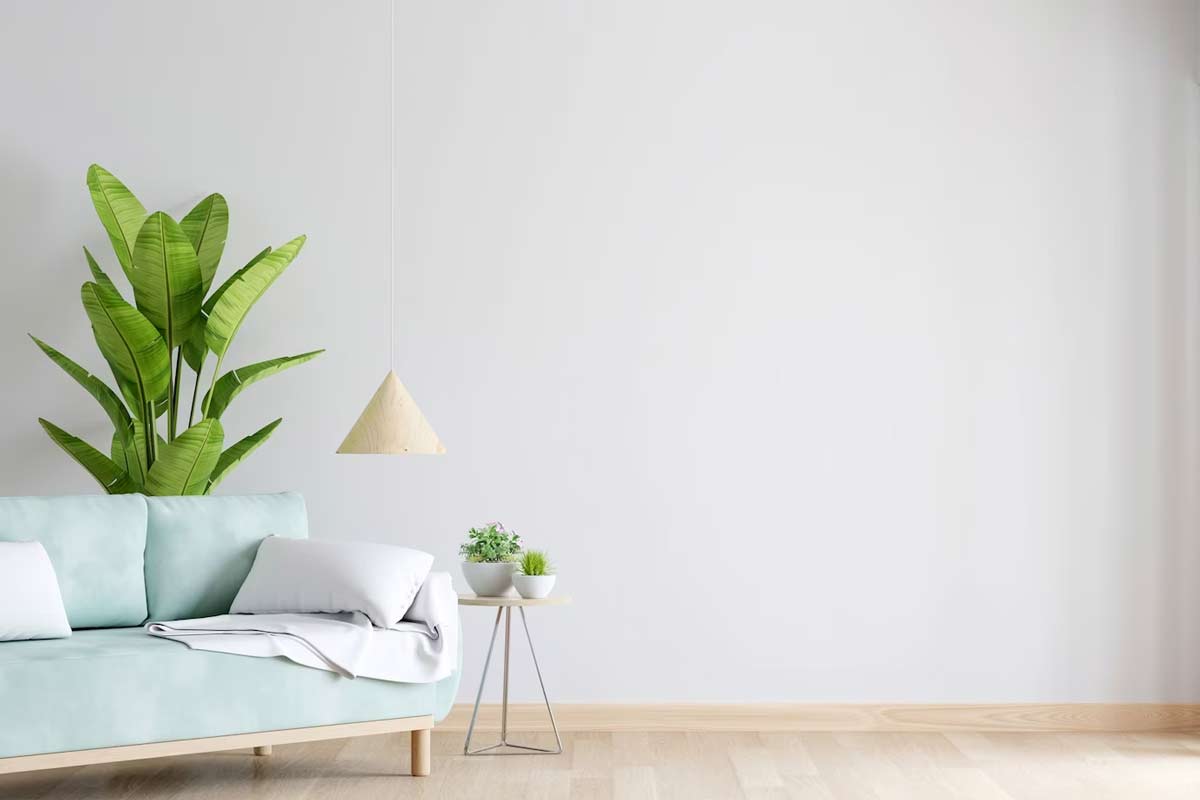 how to clean white walls with bleach