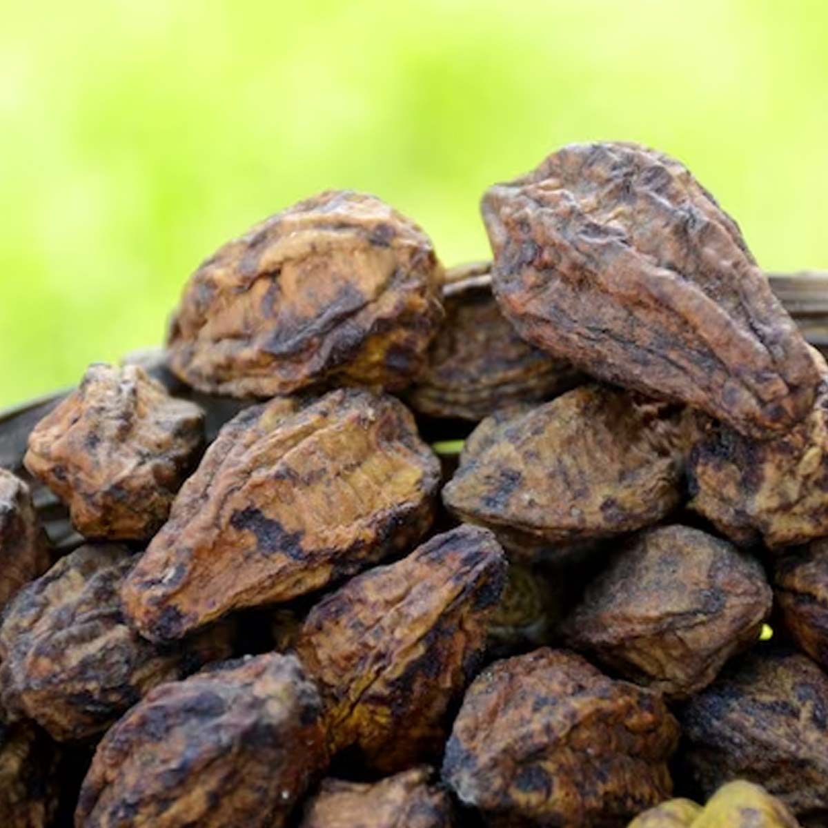 kadukkai podi benefits for weight loss benefits