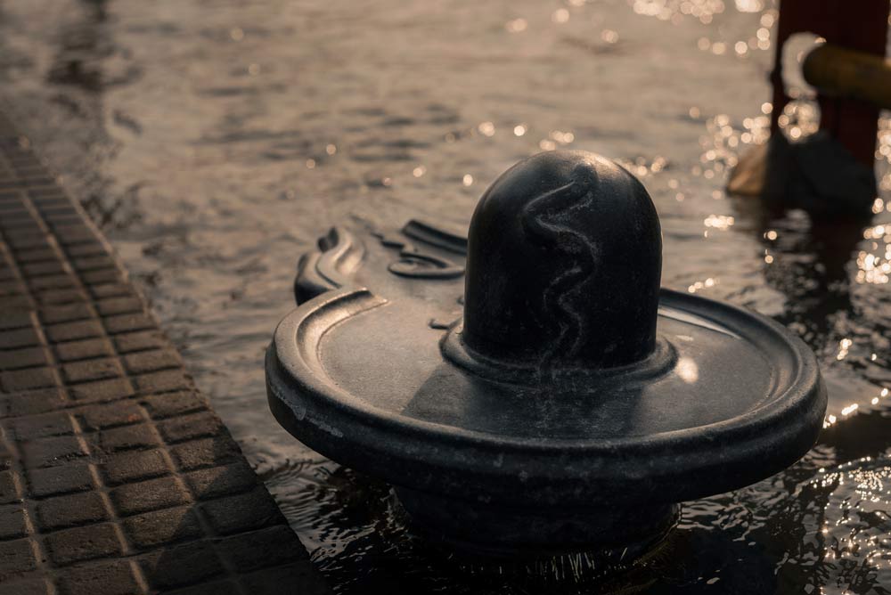 lord shiva family on shivling ()