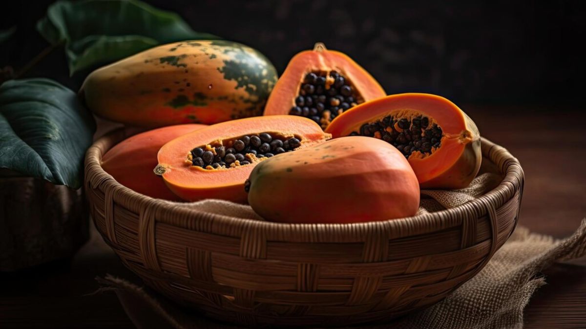 papaya for constrption