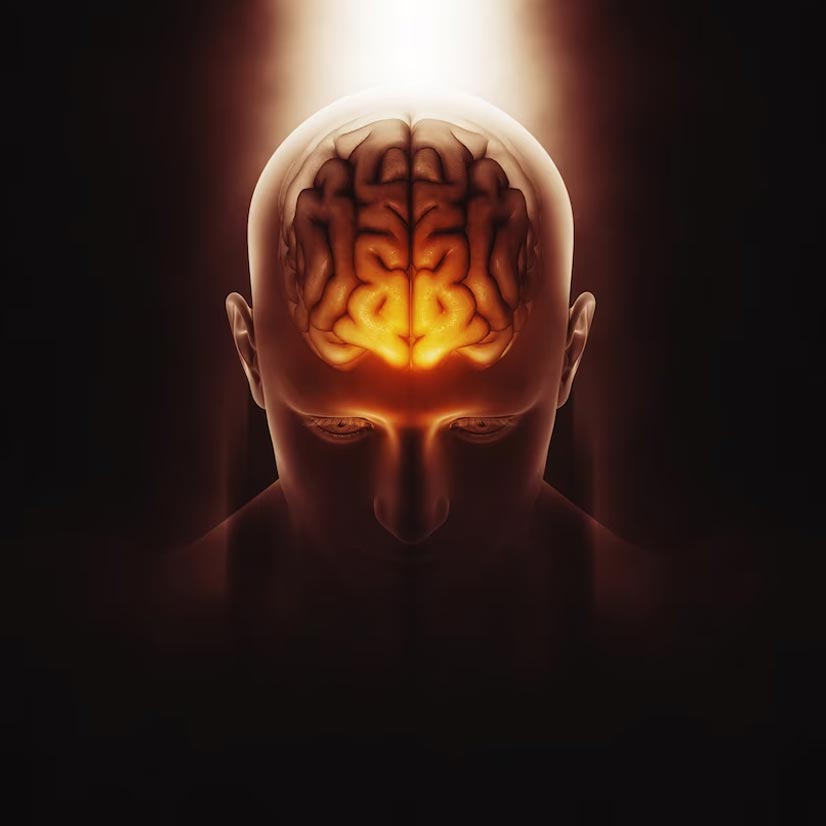 soaked almonds for brain