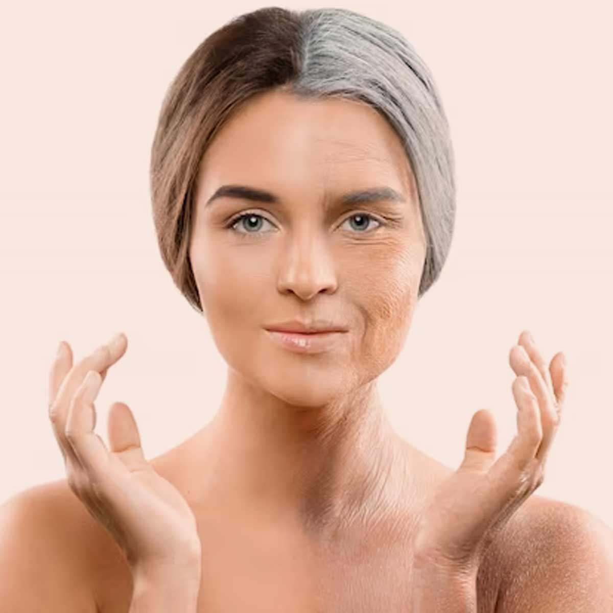 thatta payaru benefits for ageing