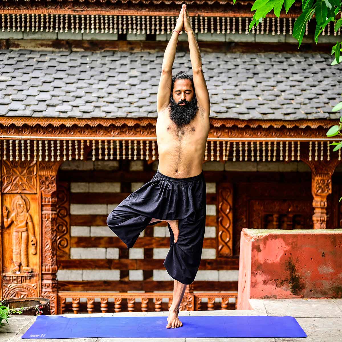 vrikshasana for liver