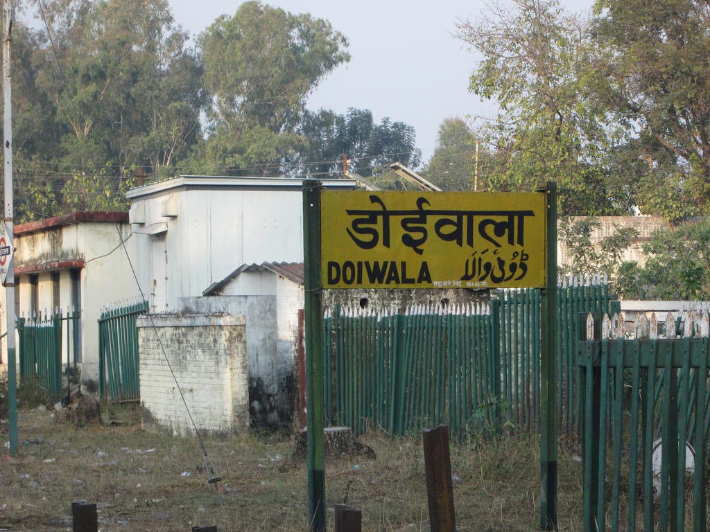 What is Doiwala famous for