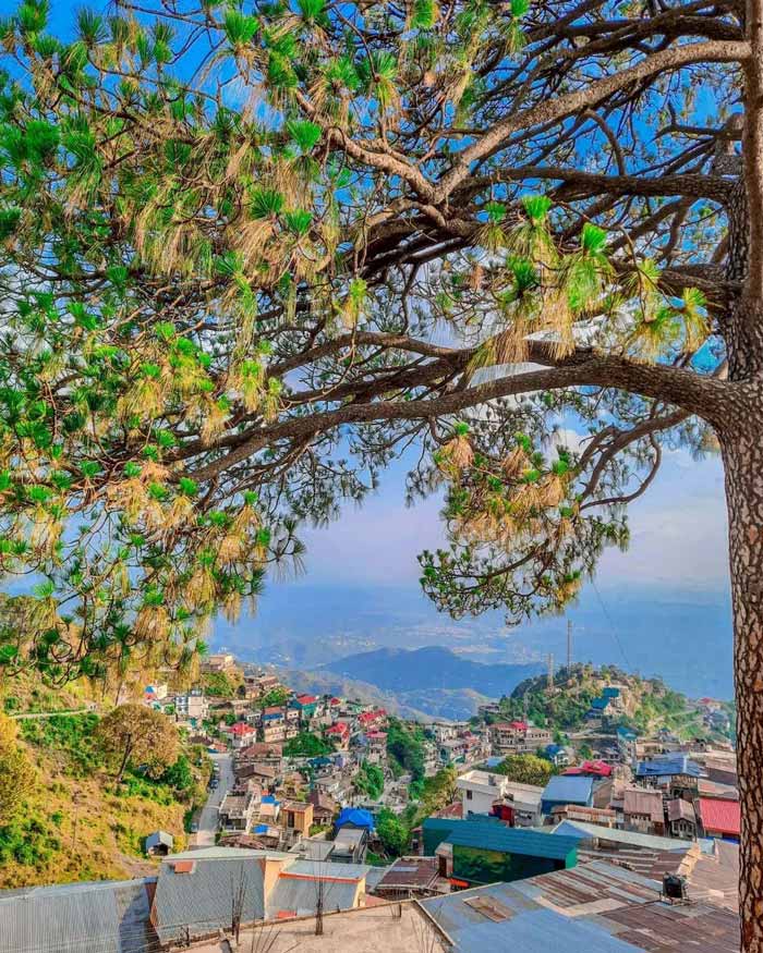 What is Kasauli famous for