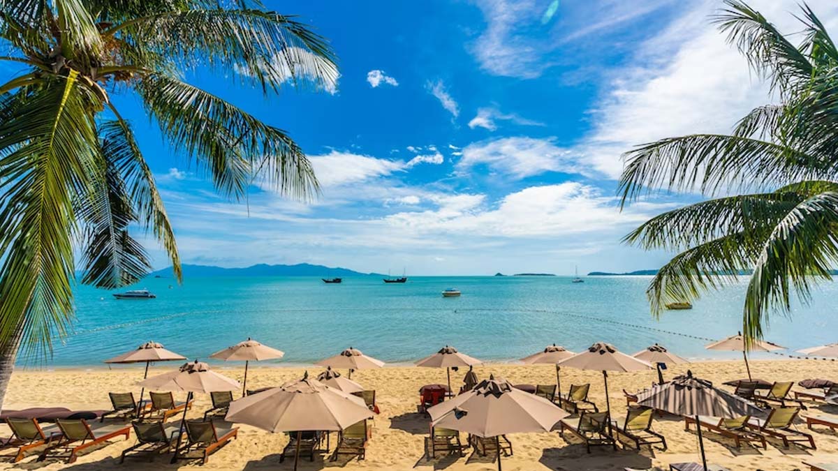 Which beach is best for New Year in Goa