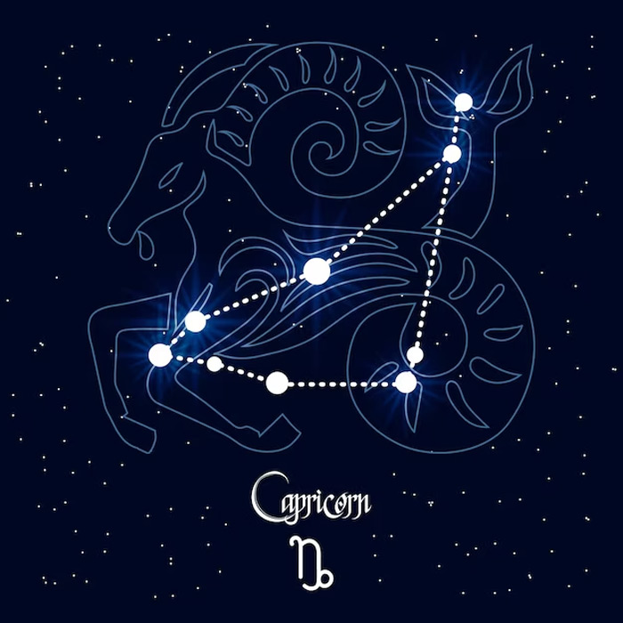 capricorn weekly love horoscope december to