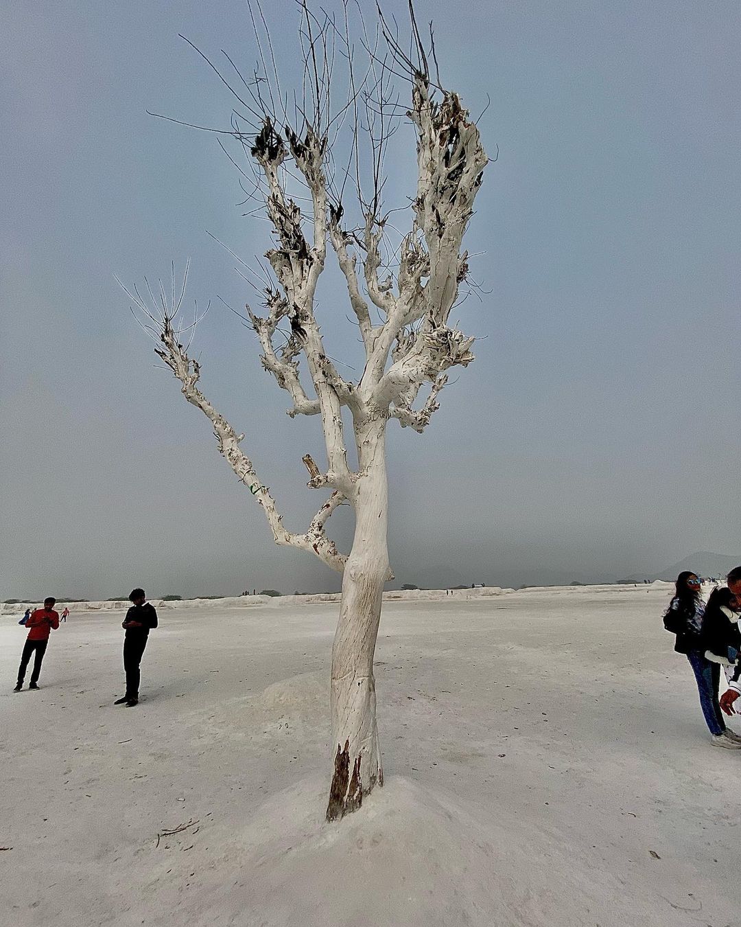 dumping yard ticket price