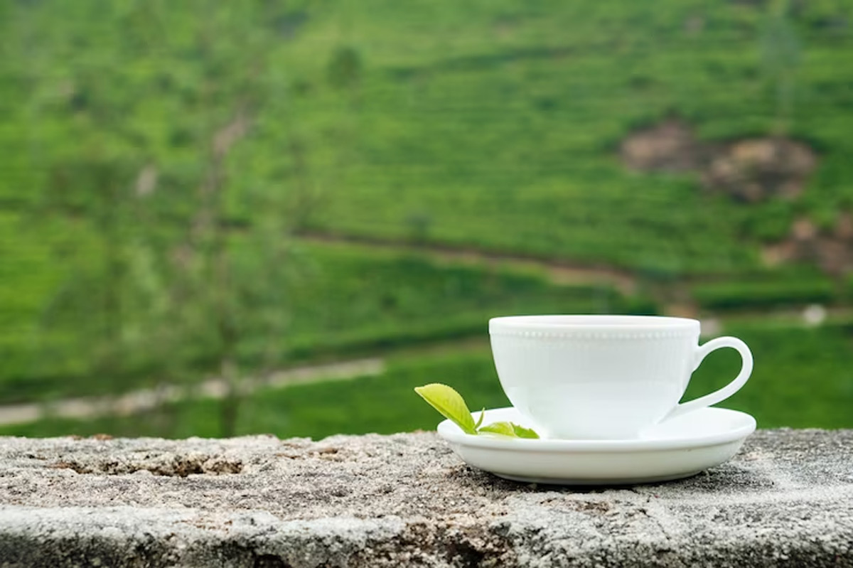 green tea for hormonal balance
