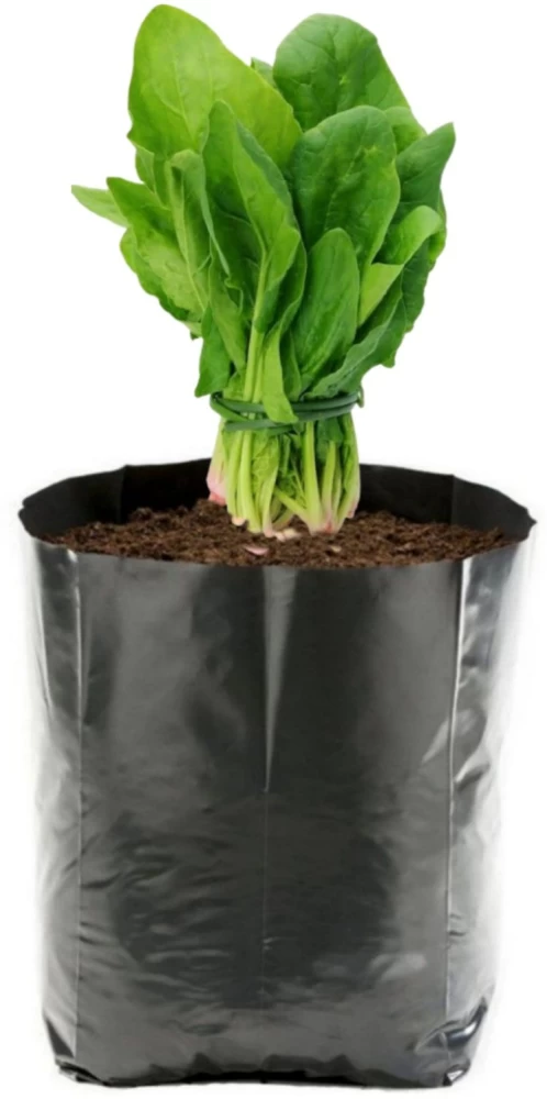 grow plants in milk packets