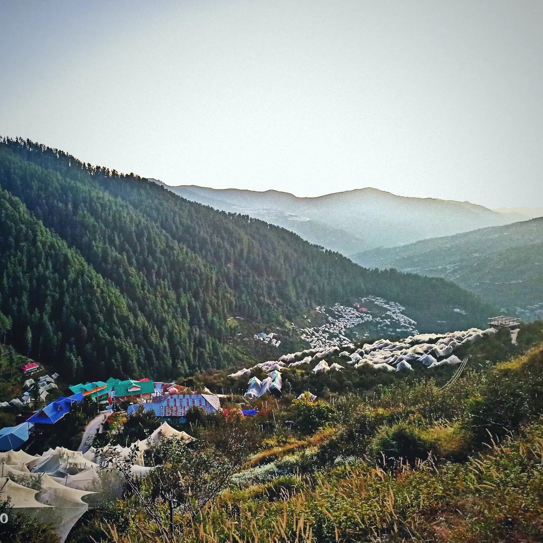 kiala forest kotkhai himachal pradesh