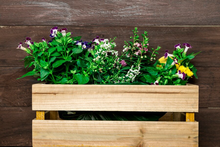 small garden Pallet Garden