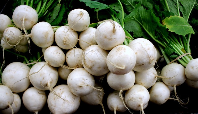 turnip