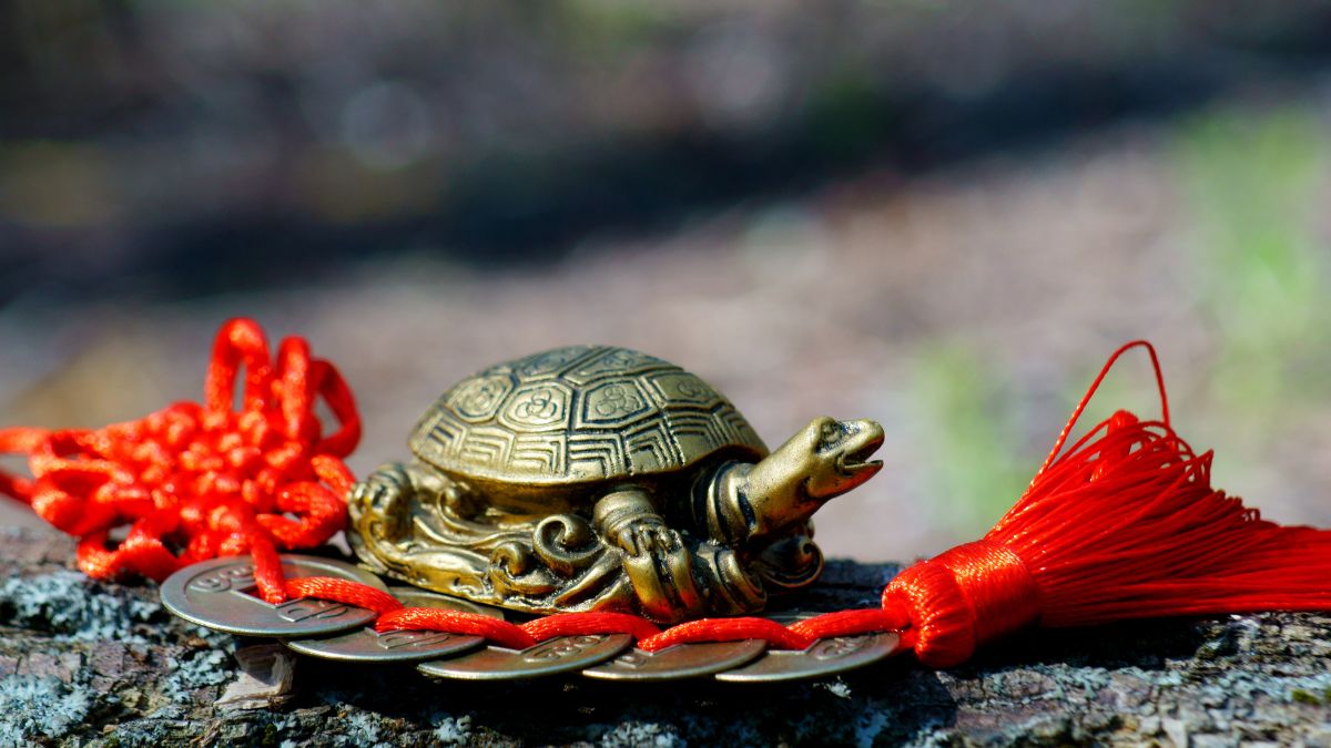 turtle vastu
