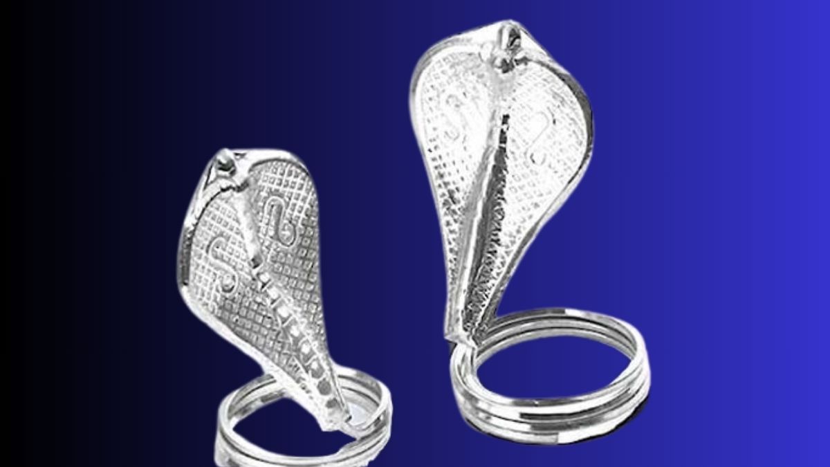 why keep silver snakes in foundation of home