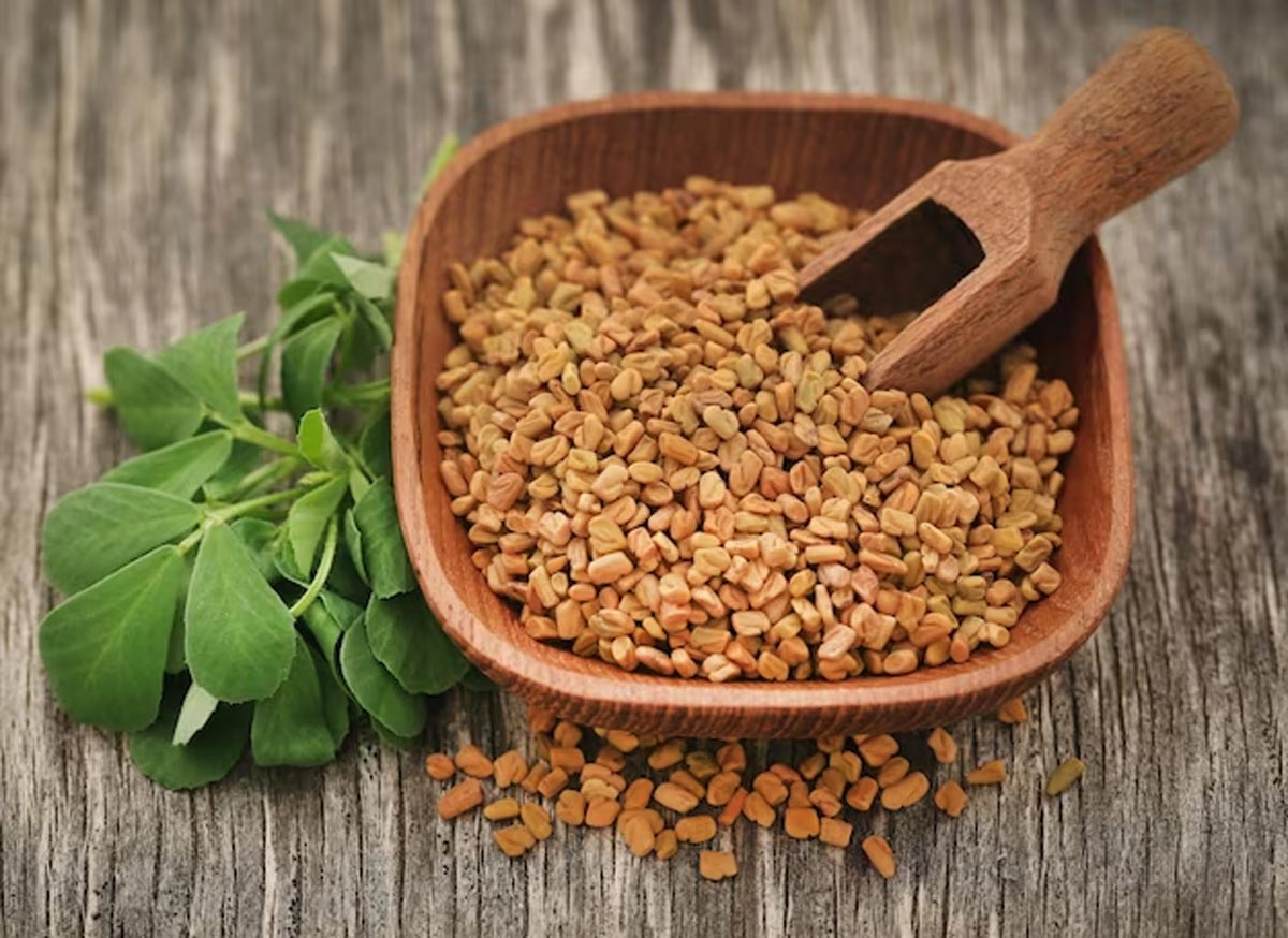 benefits of using fenugreek seed on hair