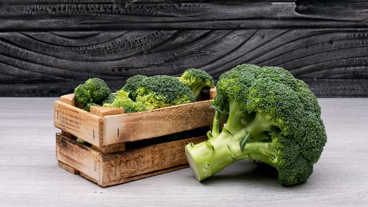 brocoli for spring season