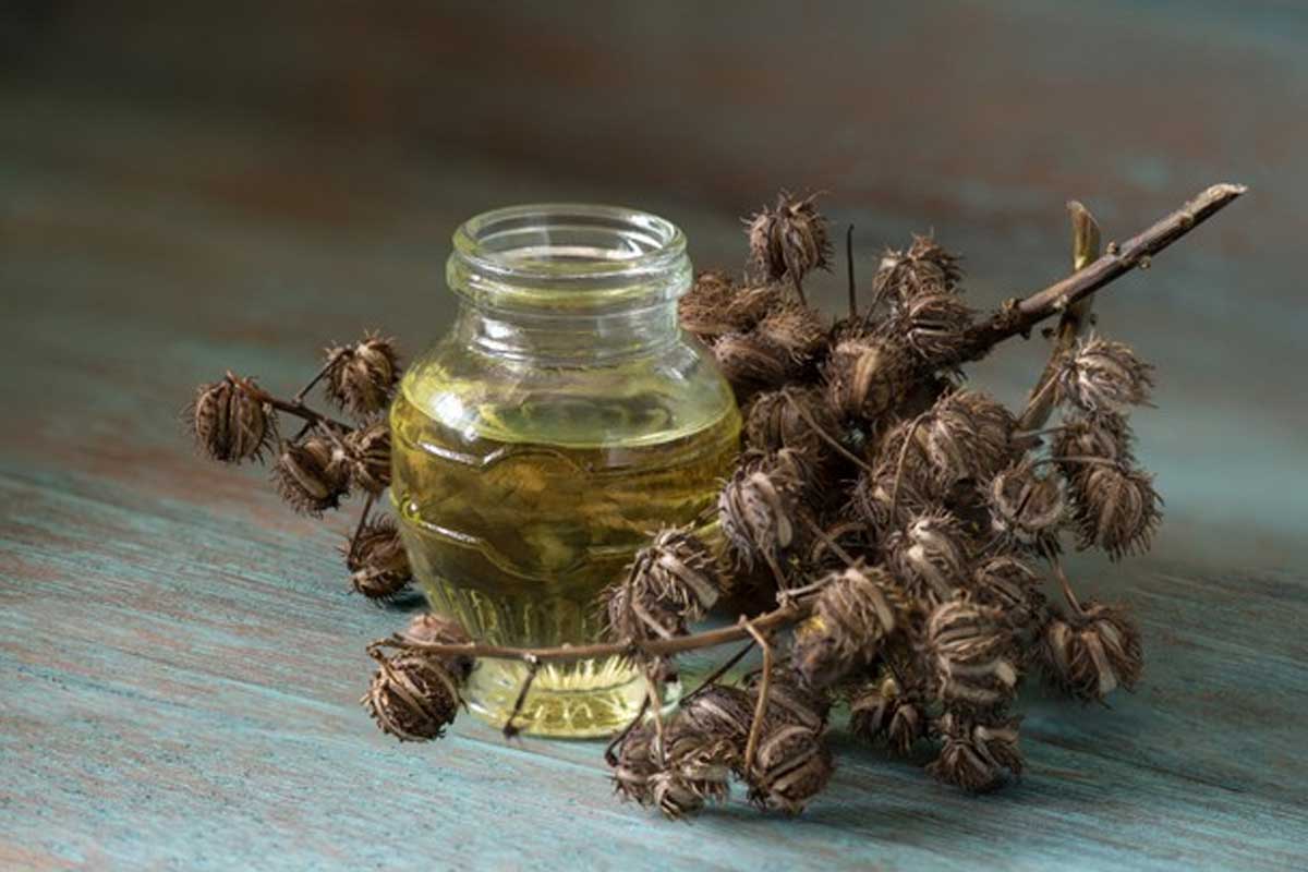 castor oil for fertility in tamil