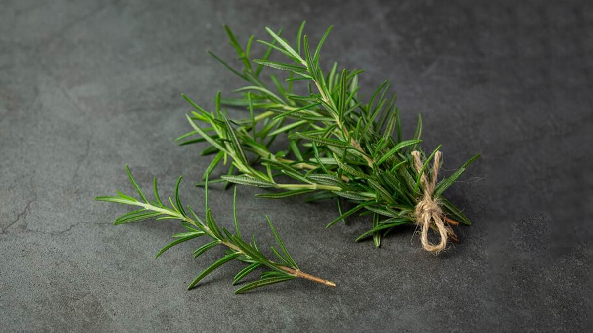 homemade vegan hair dye