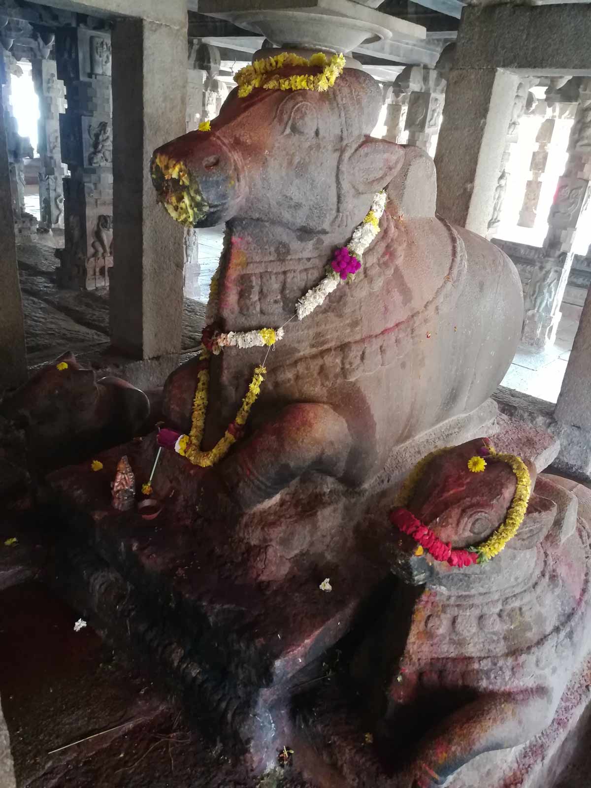 nandi in bhagwan shiv mandir