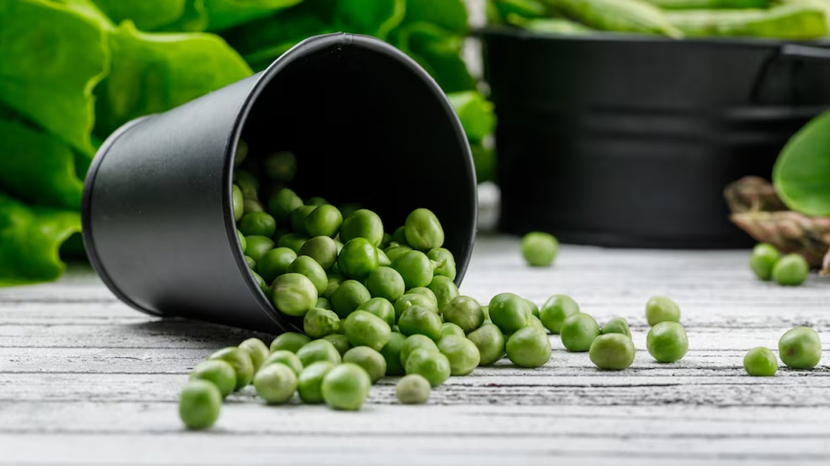 peas for spring season