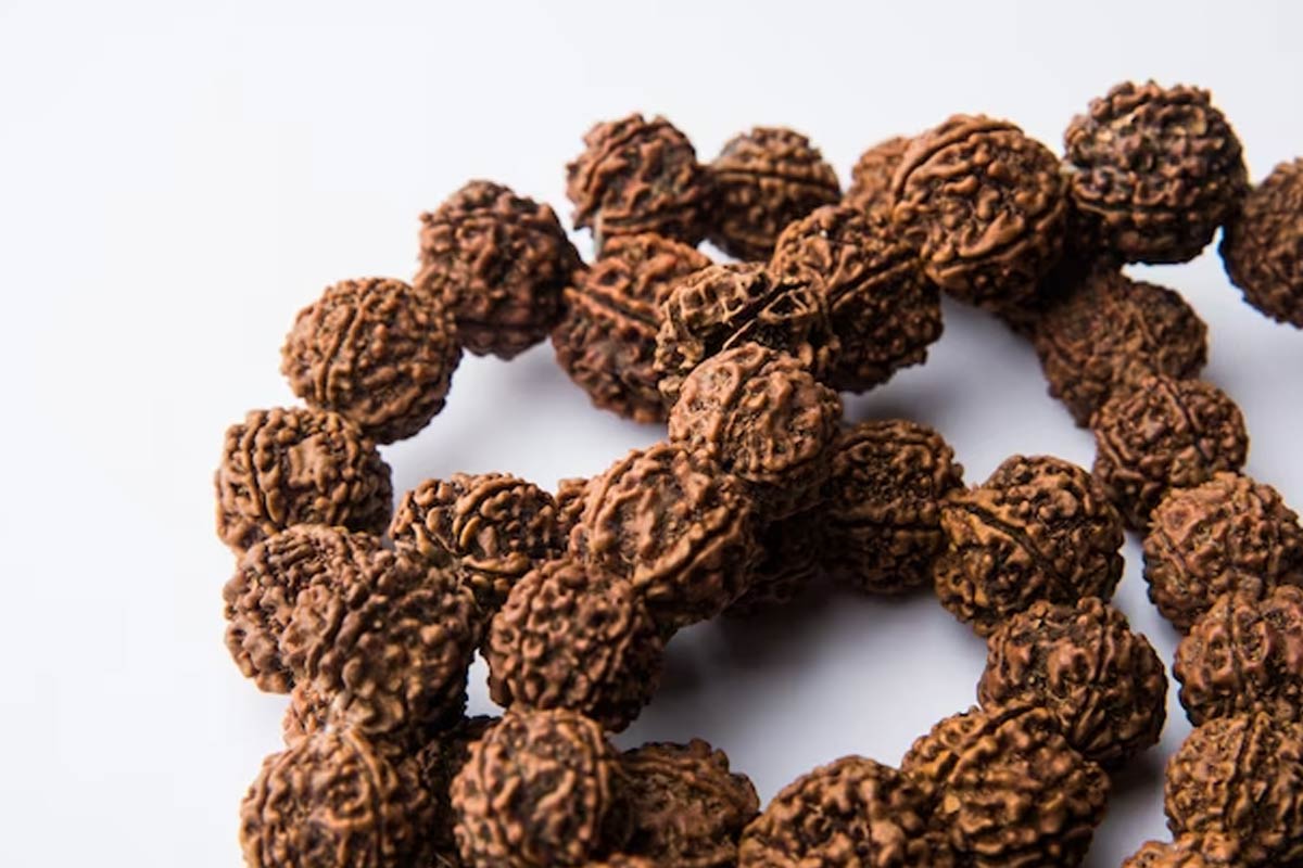 wearing rudraksha benefits