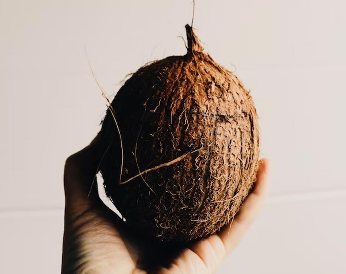 what is one eye coconut