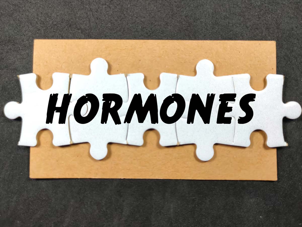 what is the use of progesterone