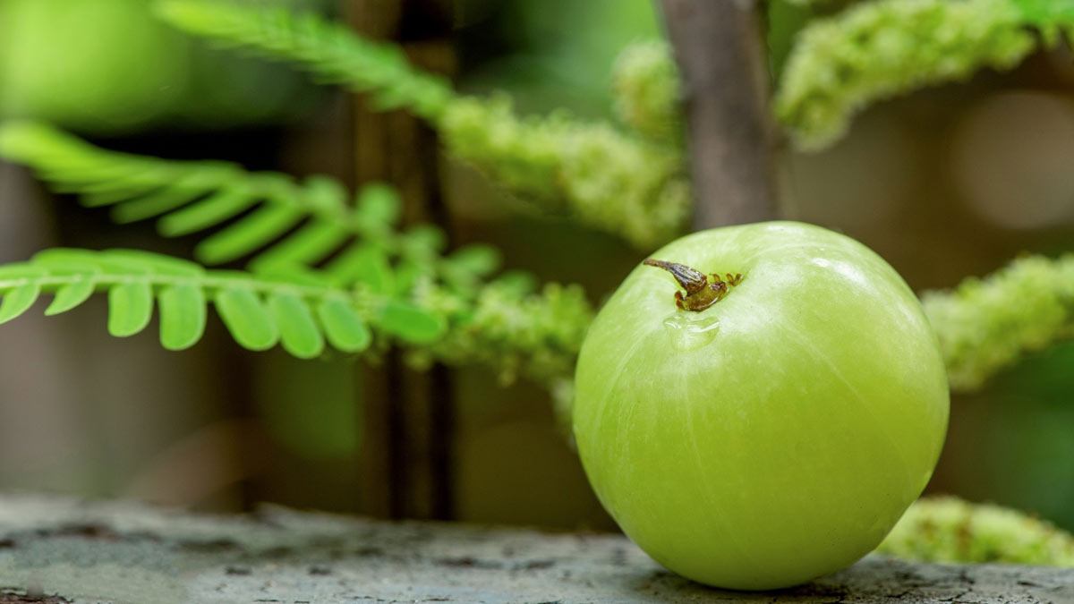 amla benefits tamil