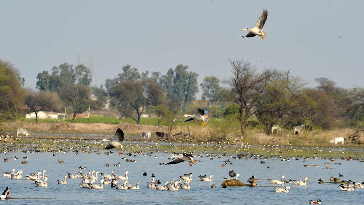 best travel places around delhi jaipur expressway