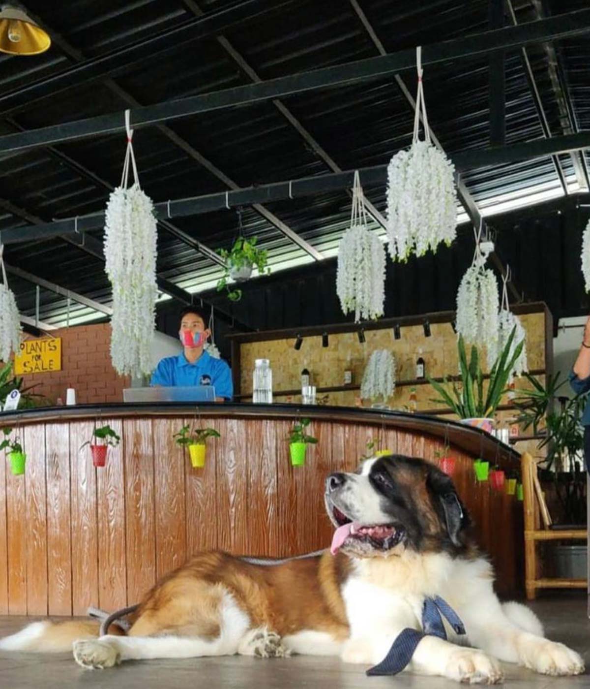 devanshi tripathi story