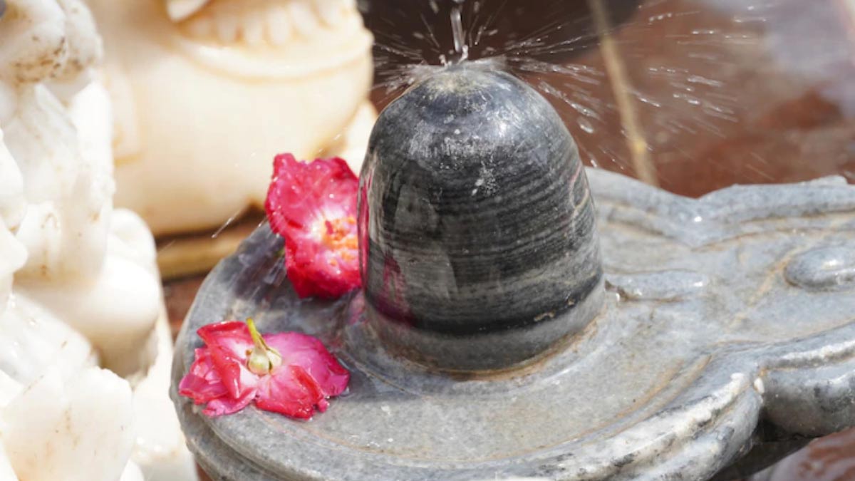 rules to offer water