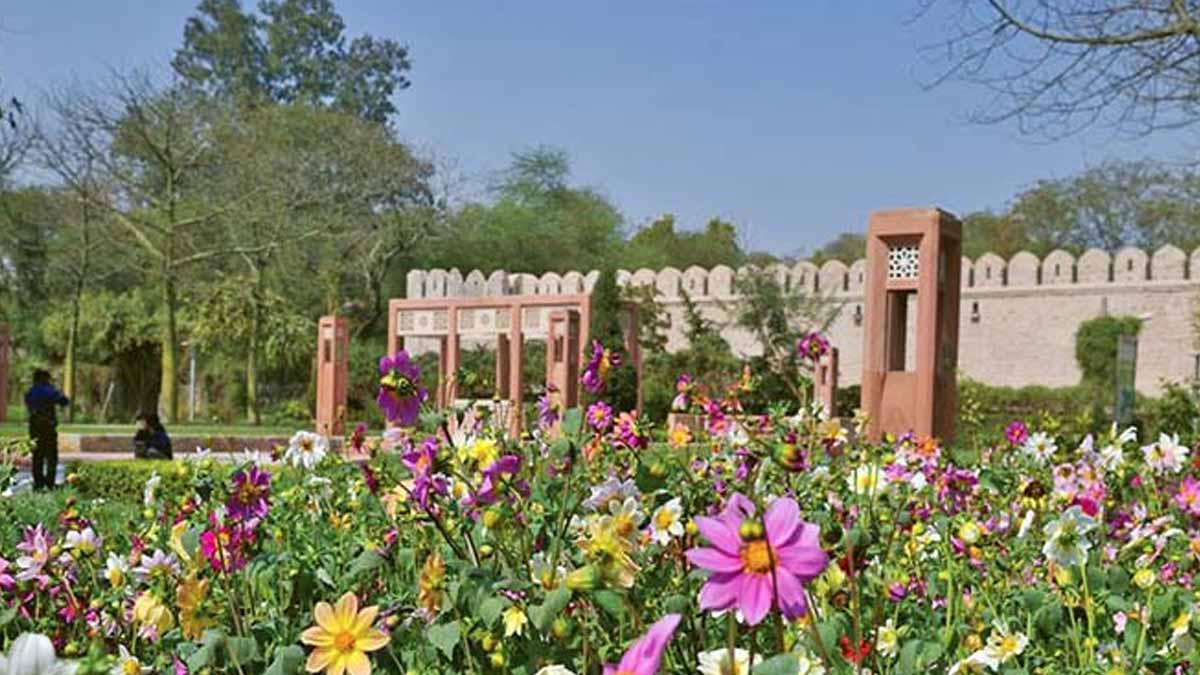 where is japnese park