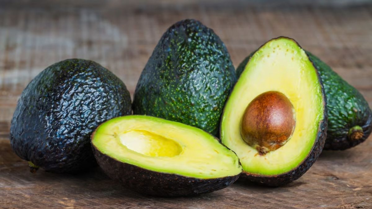Avacoda