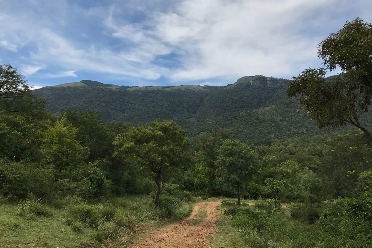 Biligirirangan Hills