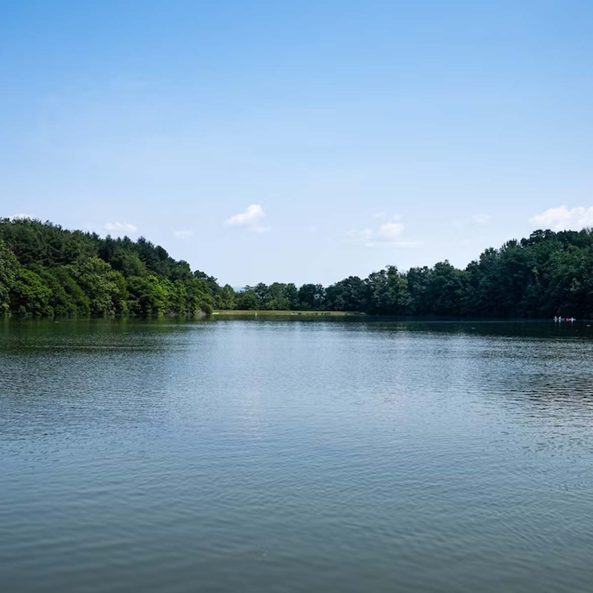 River water facts in hindi