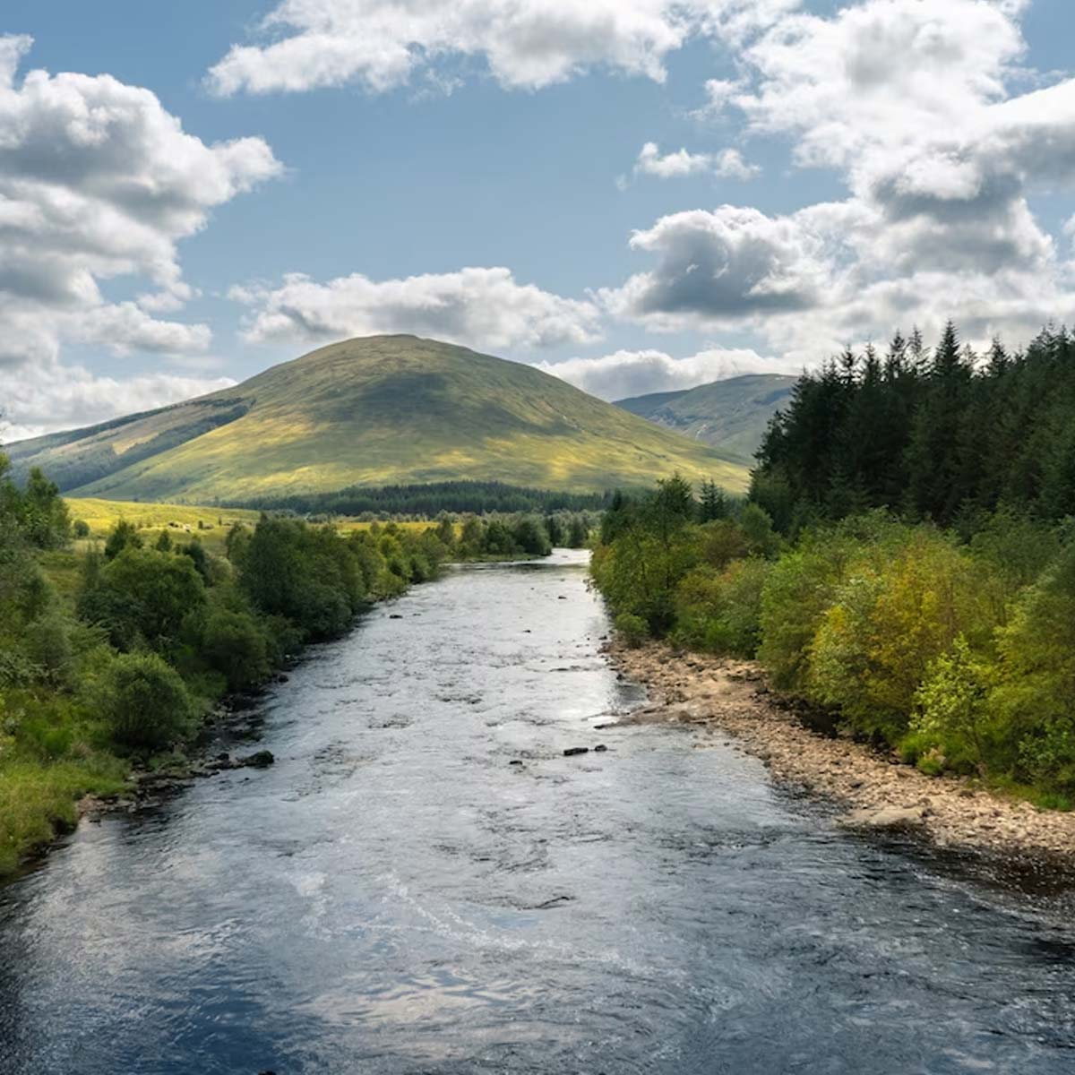 Sea salt interesting facts