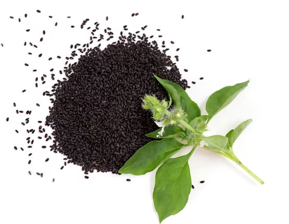 belly fat burner sabja seeds