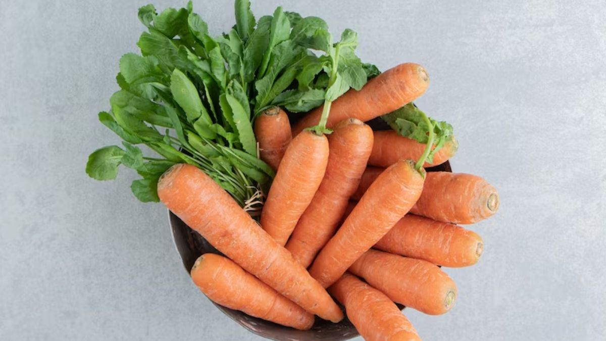 carrot for breastfeeding mom