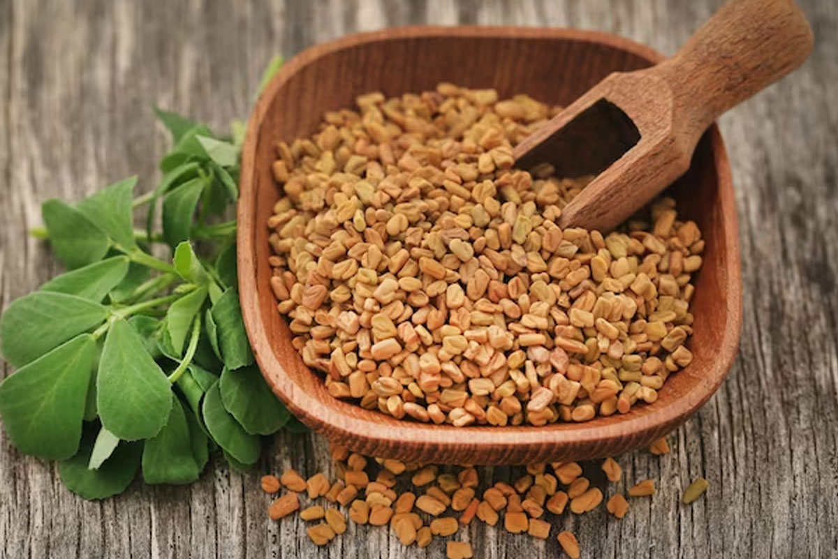 fenugreek for women after delivery