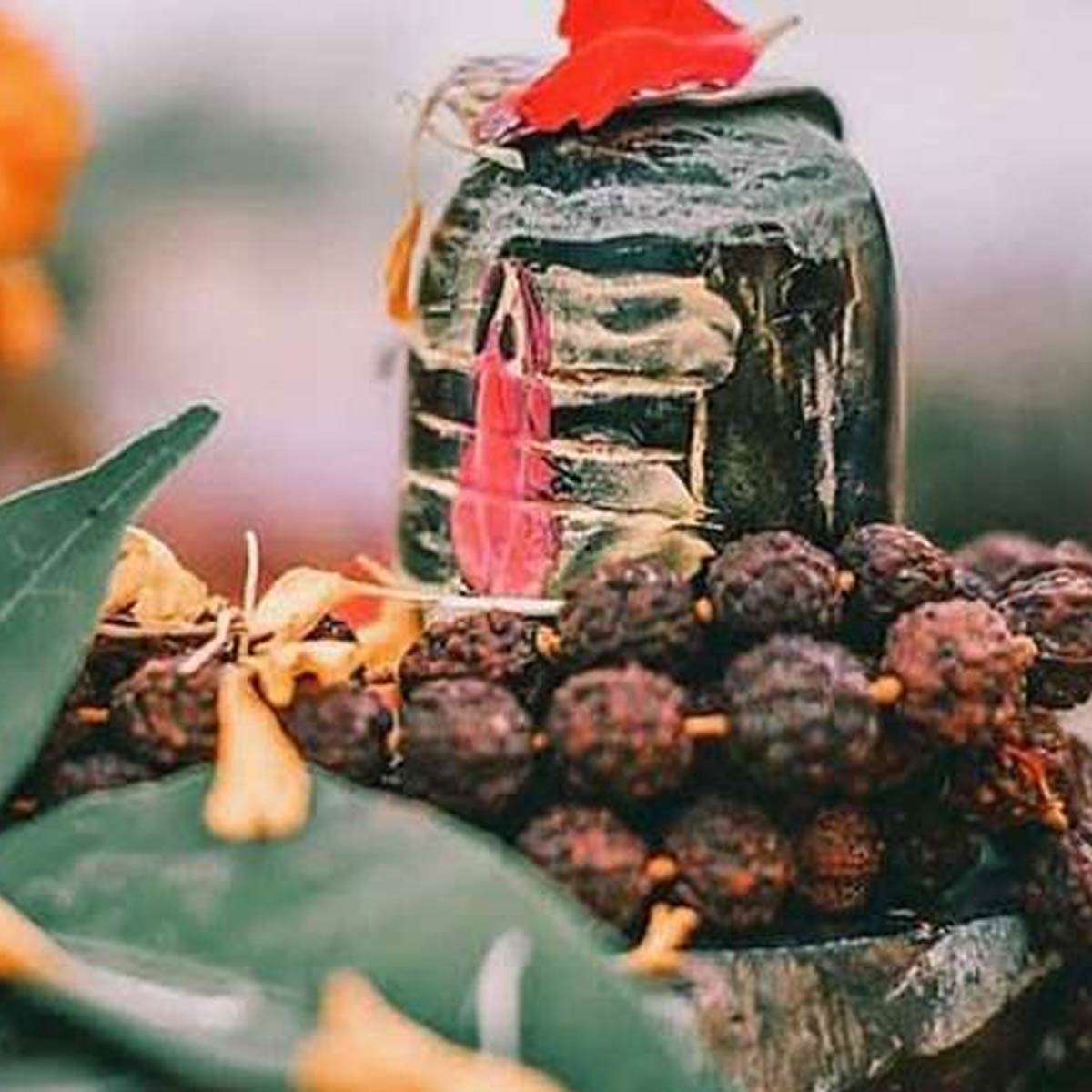 ghar mein bel patra kaha rakhe