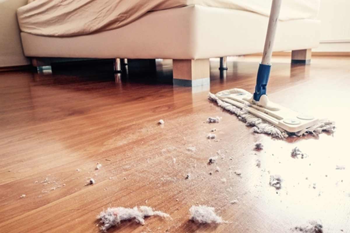 how to clean house dust